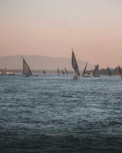 pexels-dajana-reci-289671698-16247267