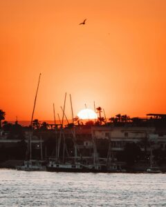 pexels-dajana-reci-289671698-16247278