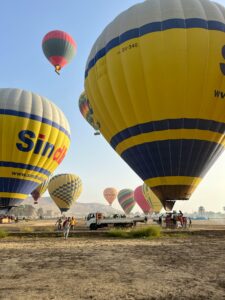 pexels-elenav-2011499497-29046646