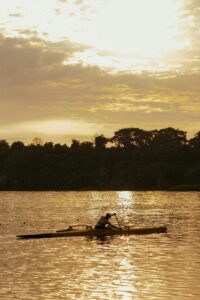 pexels-jonathanborba-16949966