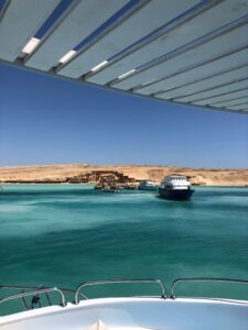 pexels-78160932-10037502