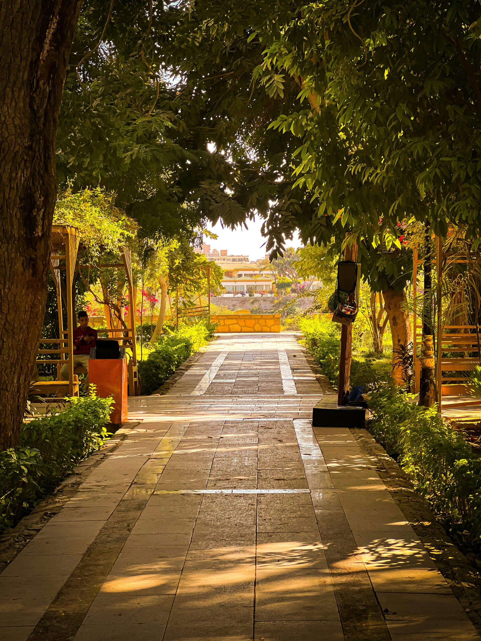 ahmed-samir-elhadim-JABPP_sMUMM-unsplash