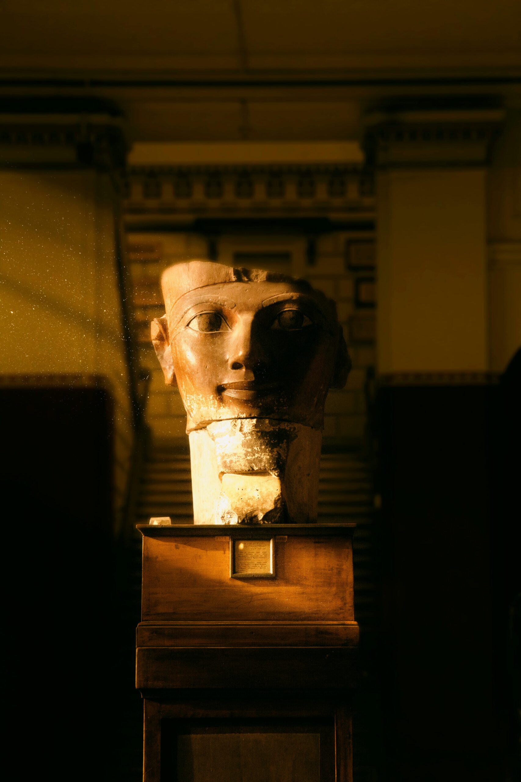 pexels-ast4rk-29321292